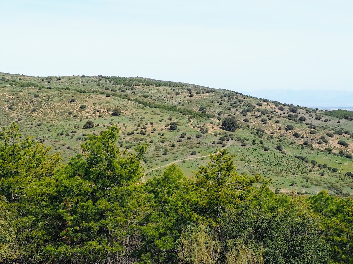 P4300054