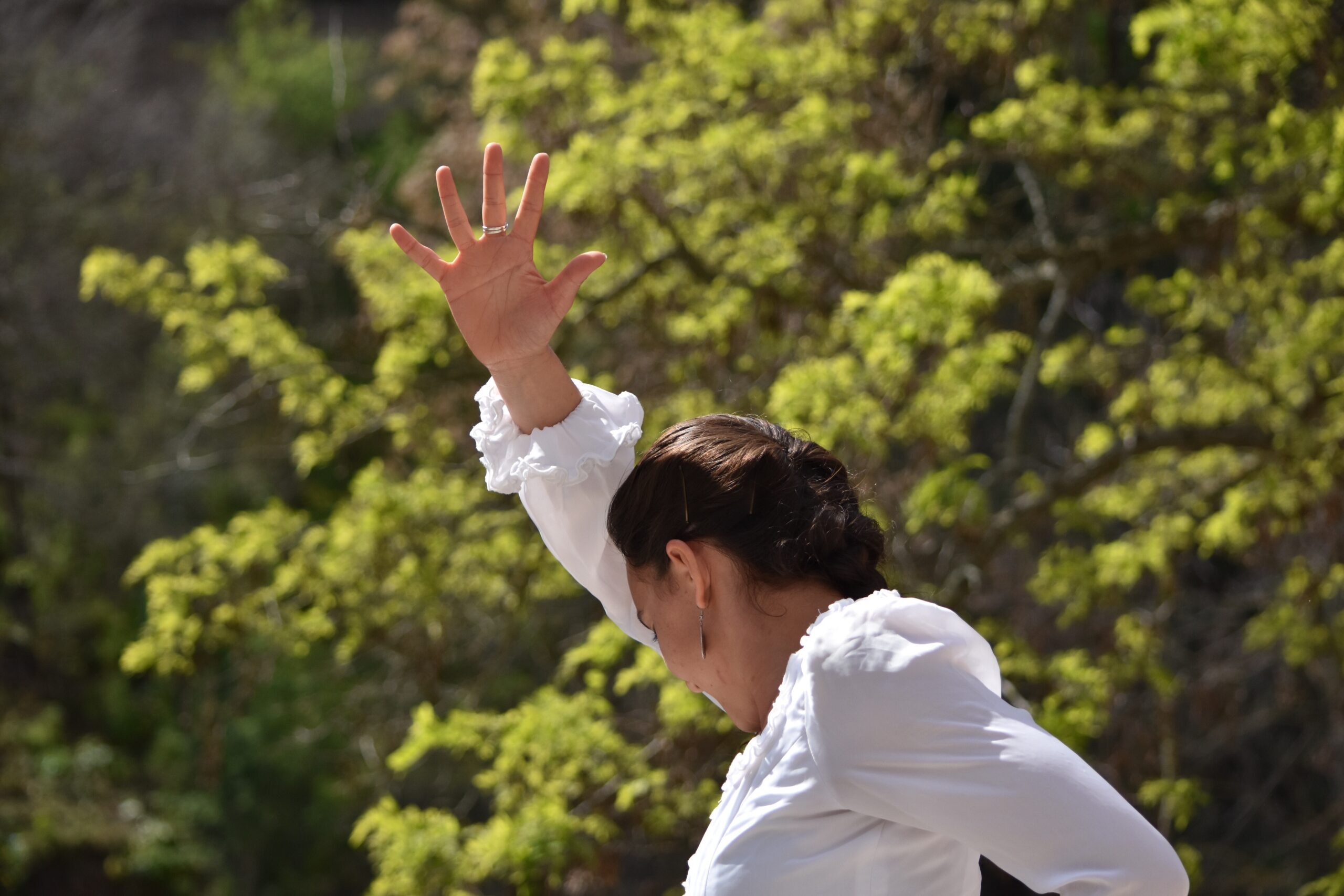 flamenco-dancer-in-the-street-2023-11-27-05-01-19-utc
